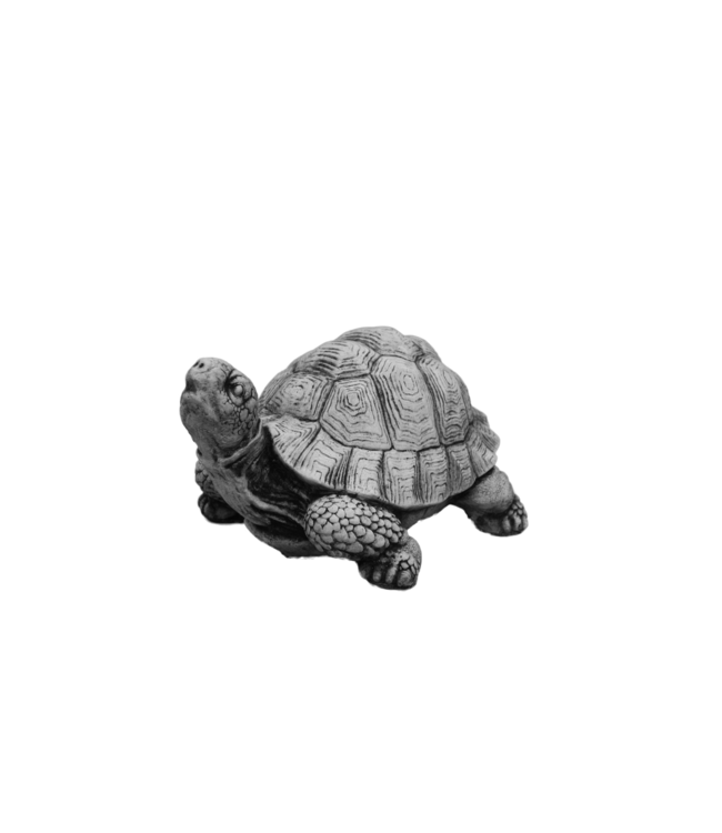 Schildpad middel