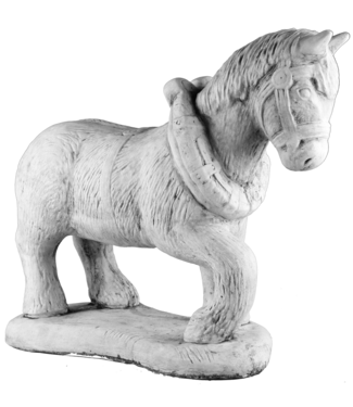Paard