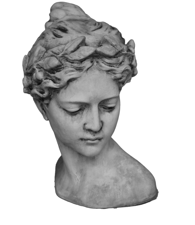 Borstbeeld Anne