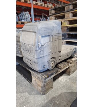 Vrachtwagen MAN groot