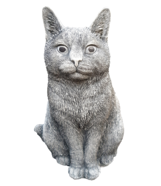 Poes zittend