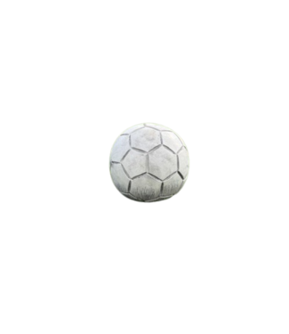 Voetbal