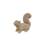 Eekhoorn terra