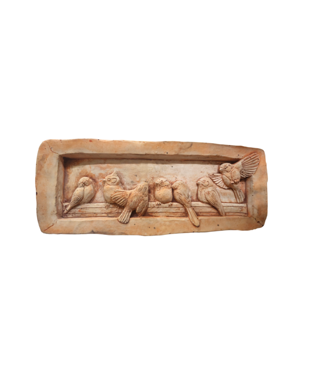 Wandbord vogel terra