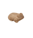 Kikker terra