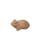 Kikker terra