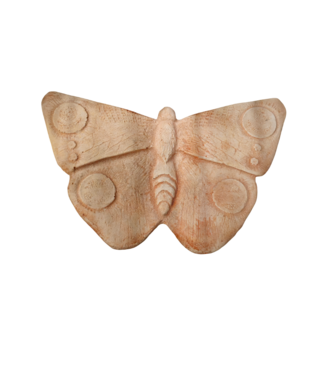 Vlinder middel terra