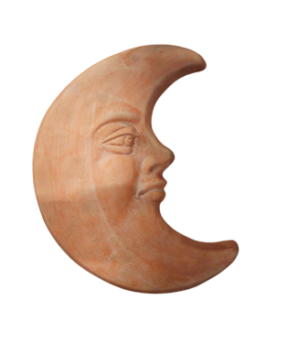 Maan terra