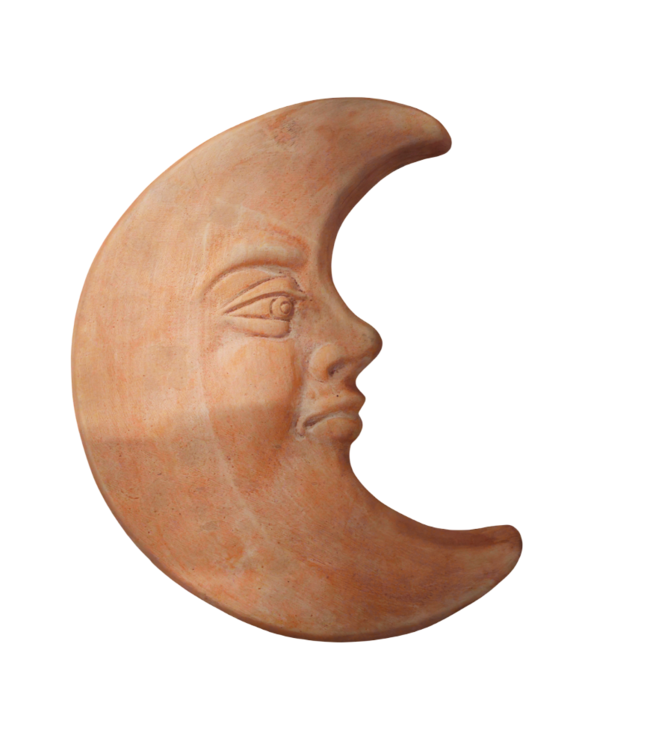 Maan terra