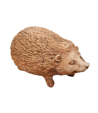 Egel terra