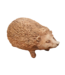 Egel terra