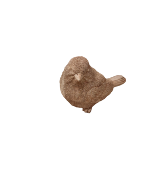 Vogel terra