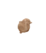 Vogel terra