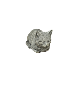 Poes loer groot