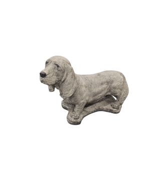 Basset
