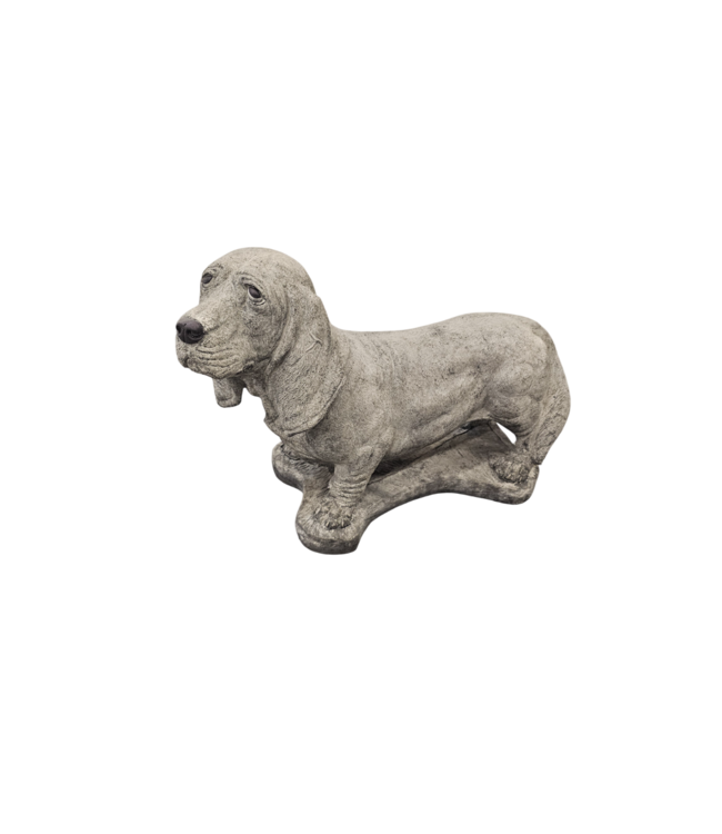 Basset