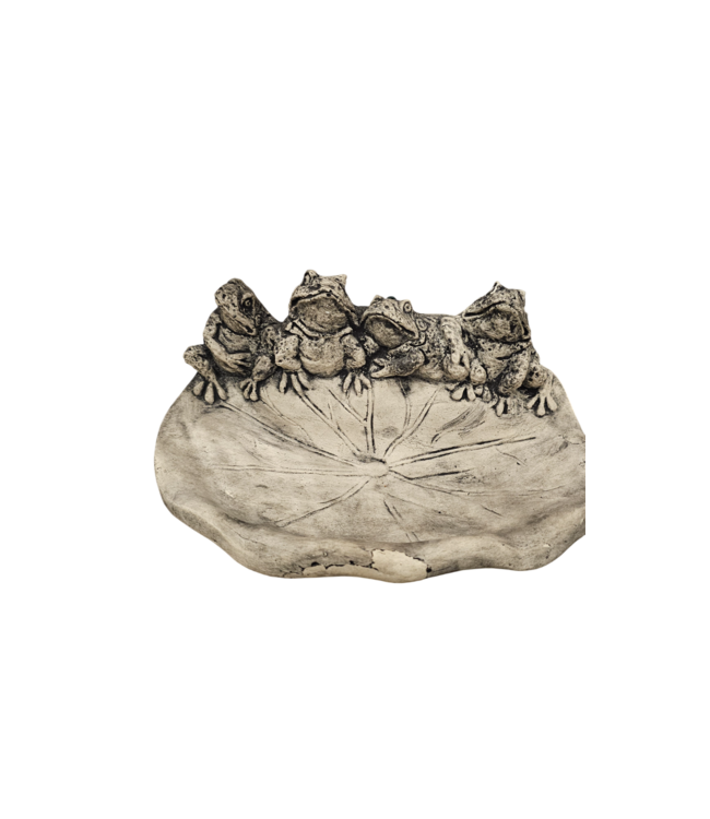 Drinkschaal kikkers klein