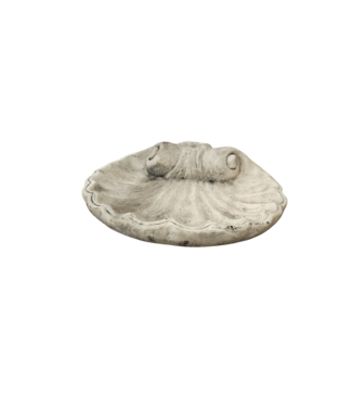 Drinkbak schelp klein