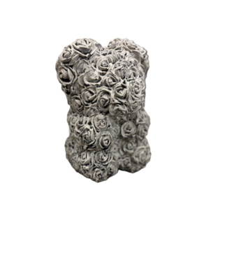 Beer met roosjes klein