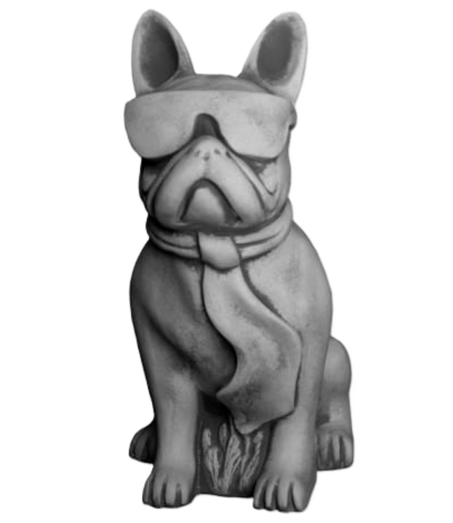 Franse bulldog gangster