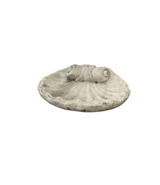 Drinkbak schelp klein