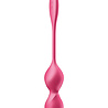 Satisfyer Love Birds 2 – G-Punkt Vibrator mit App-Steuerung