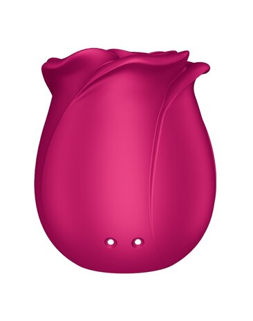 Satisfyer Pro 2 Classic Blossom – G-Punkt Vibrator mit Liquid-Air-Kappe