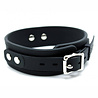 Rimba Latex Play Collier Rimba Noir – Collier en silicone de 5 cm avec chaîne pour chien Rimba Latex Play Collier Rimba Noir – Collier en silicone de 5 cm avec chaîne pour chien