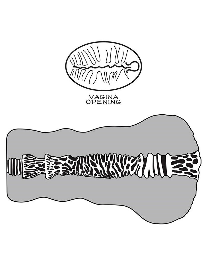 LoveToy Alien's Pie 2 - Taschenmuschi