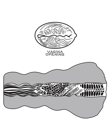 LoveToy Alien's Pie 3 - Vaginette - Noir