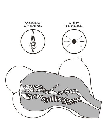 LoveToy Streetgirls 6 - Masturbateur - Noir