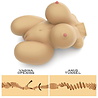 LoveToy LoveToy - Streetgirls 6 - Masturbateur - Nu LoveToy LoveToy - Streetgirls 6 - Masturbateur - Nu