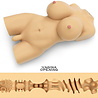 LoveToy LoveToy Streetgirl's 8 - Realistischer Trans-Torso-Masturbator - Hellbeige LoveToy LoveToy Streetgirl's 8 - Realistischer Trans-Torso-Masturbator - Hellbeige