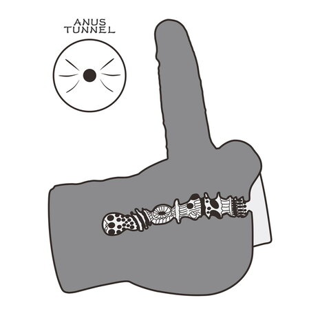 LoveToy Streetgirl’s #14 - Anal masturbator mit Dildo 15 cm Ø4,5 cm LoveToy Streetgirl’s #14 - Anal masturbator mit Dildo 15 cm Ø4,5 cm