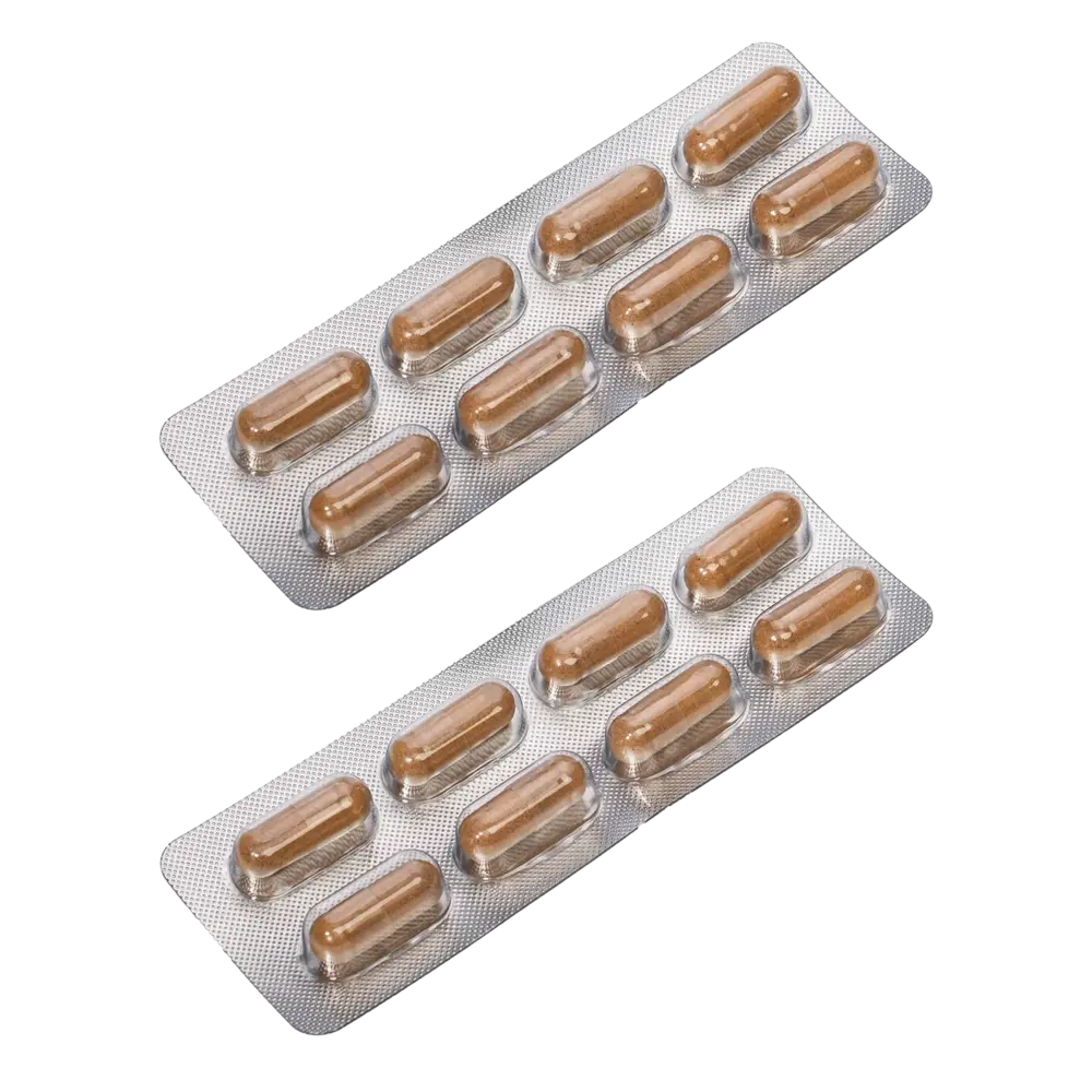 Dorcel Dorcel Gélules PERFORMER + – Élevez vos performances sexuelles Dorcel Dorcel Gélules PERFORMER + – Élevez vos performances sexuelles