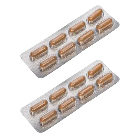 Dorcel Dorcel Gélules PERFORMER + – Elevate Your Sexual Performance Dorcel Dorcel Gélules PERFORMER + – Elevate Your Sexual Performance