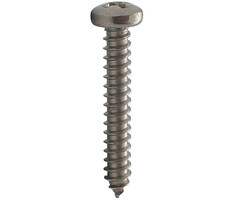 4,8mm Rvs Plaatschroef Bolcilinderkop