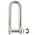 4mm D-Sluiting Rvs 32x9