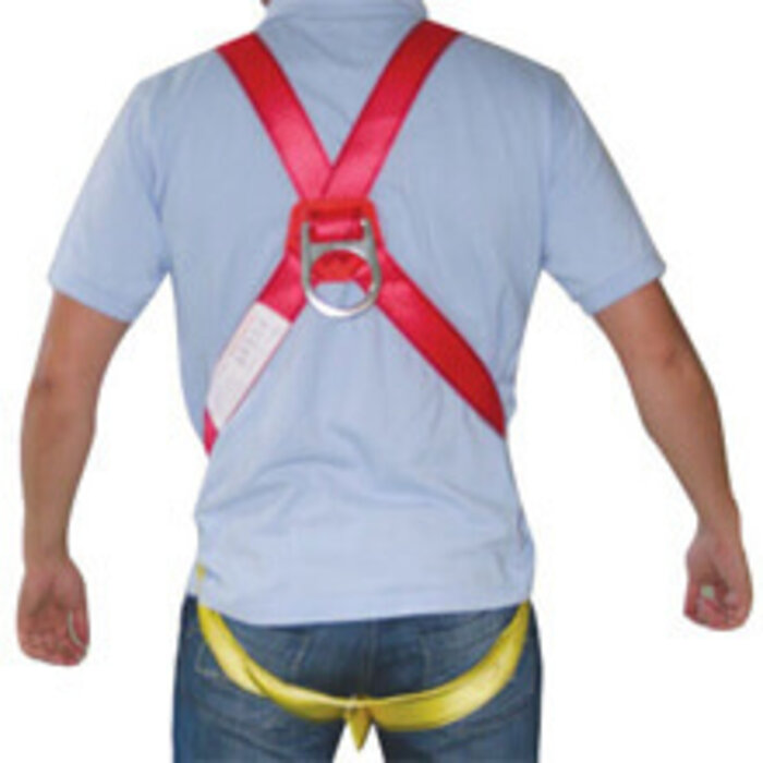 Lalizas Vestype Safety Harness