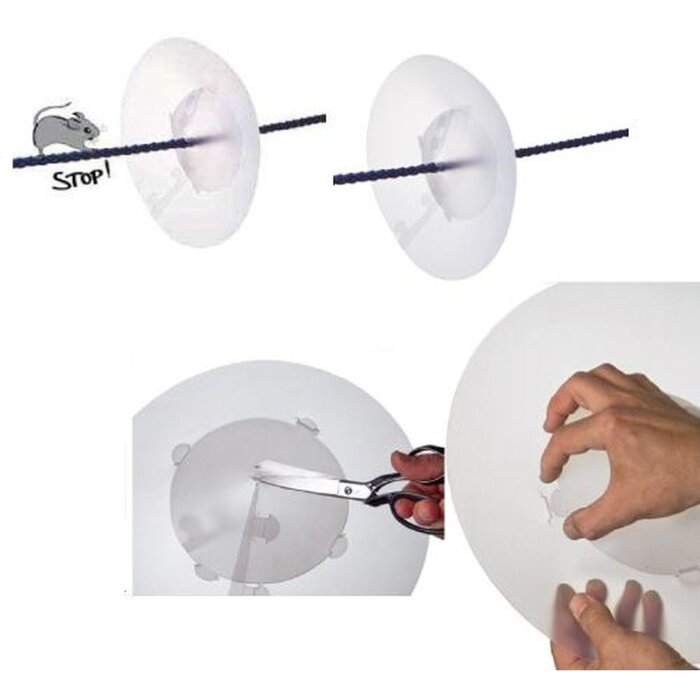 Rat Guard for Mooring Line