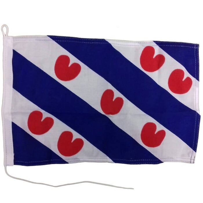 Vlag Friesland 20 x 30cm