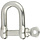 10mm D-Shackle SS316