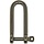 5mm D-Sluiting met Captive Pin 37x10mm Rvs