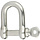 5mm D-Shackle SS316
