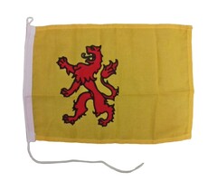 Vlag Zuid Holland 20 x 30cm