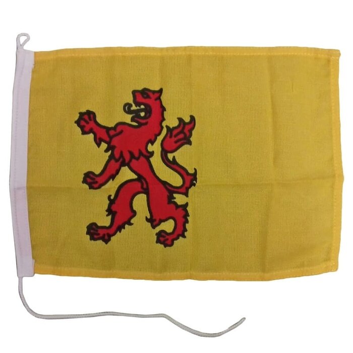 Vlag Zuid Holland 20 x 30cm