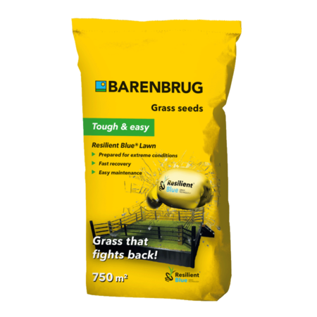 Barenbrug Resilient Blue Lawn - Spielrasen - 15 kg - Graszaadselect.com