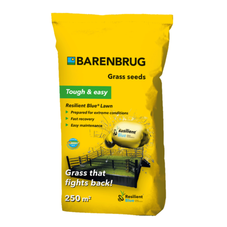 Barenbrug Resilient Blue Lawn - Speelgazon - 5 kg - 250 m² - Voor Een Sterke Grasmat!