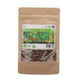Buzzy Wildflowers - Mix - 25m2 - Annual And Perennial Seeds Mixed - Graszaadselect.com
