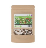 Buzzy Weidebloemen 250g - 125 m2 - Gemengde Bloemzaden Online Kopen? Graszaadselect.nl